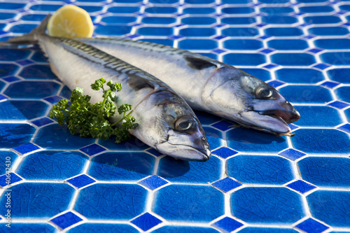 Makrelen bereit zum Grillen