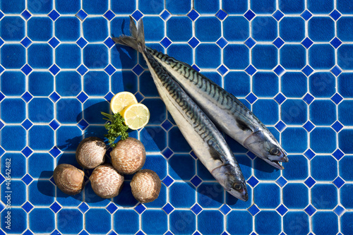 Makrelen und Muscheln