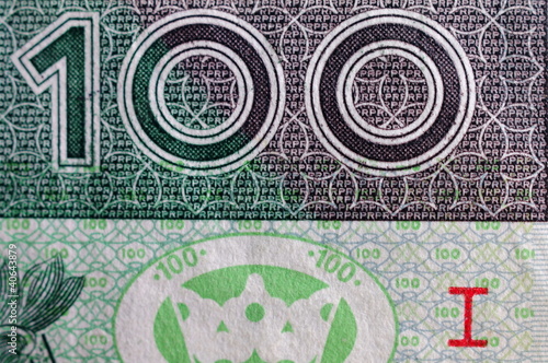Obraz na płótnie 100zł makro