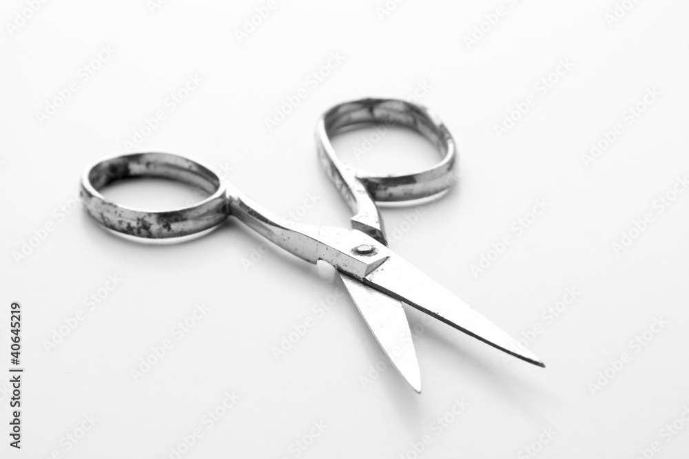 scissors on white background scissors on white background