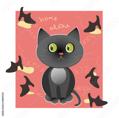 black cat