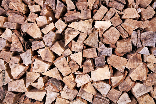 Piled firewood_Brennholz_Pappel_1