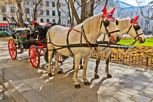 Photography Fiaker horse carriage in Vienna, Austria