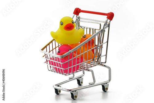 Canvas Print enten im einkaufswagen