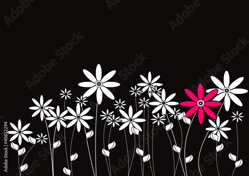 fondo floral