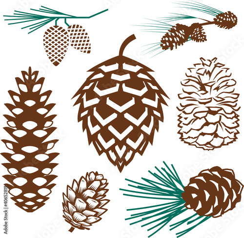 Pinecones