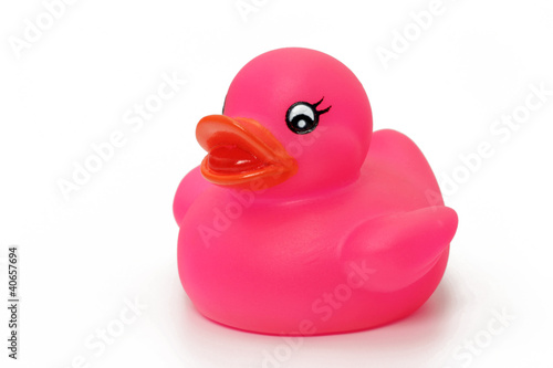 Fotografie badeente