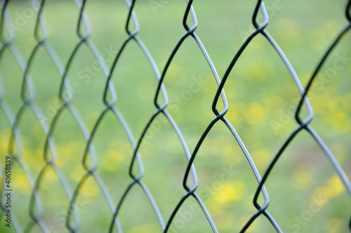 Fence