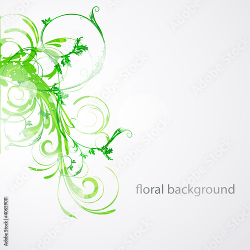 Floral Vector background