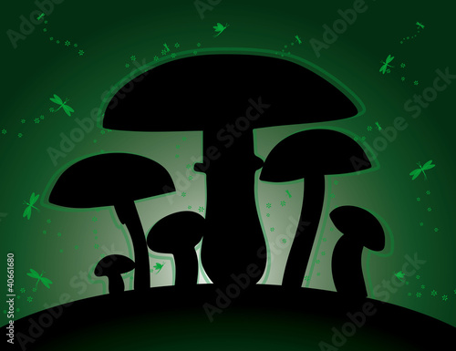 leuchtende Pilze