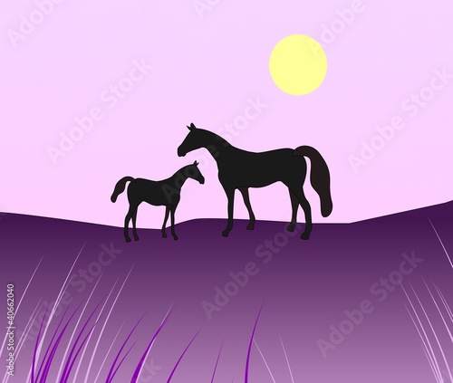 Fototapeta Naklejka Na Ścianę i Meble -  Horse with Foal