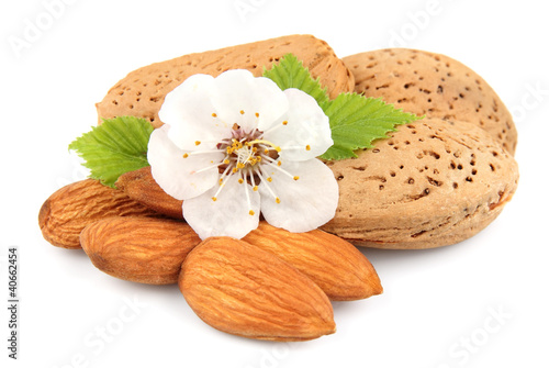 Almonds nuts with flowers of nuts