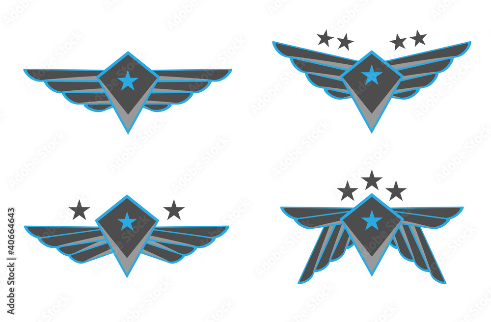 Fototapeta premium Wings Vector Illustration
