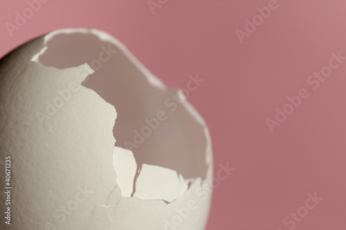 ピンクの背景の卵の殻