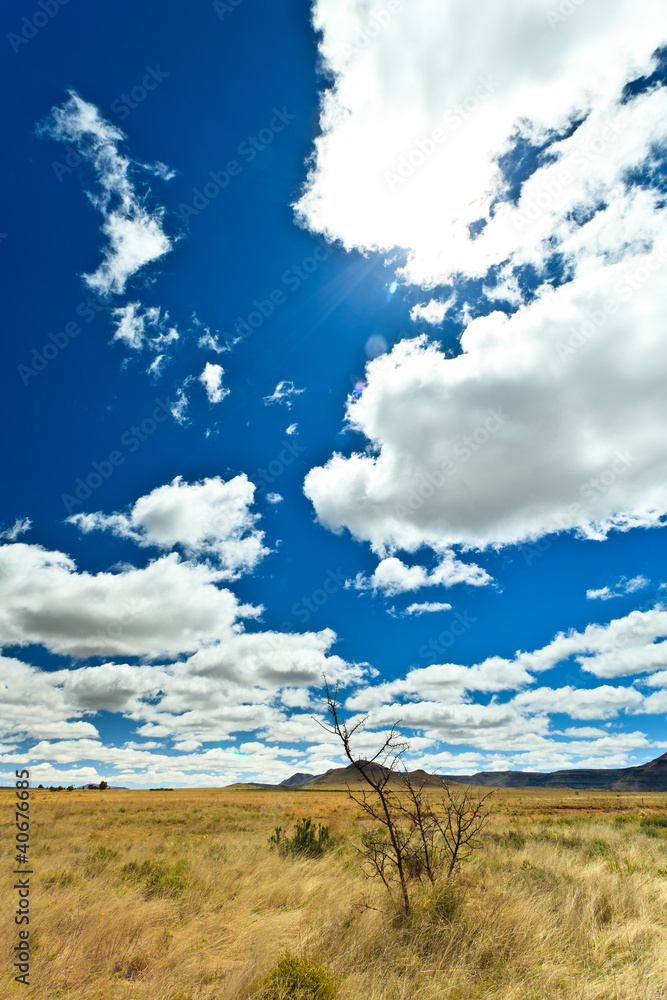 Desolate landscape with beautiful cloudscape Desolate landscape with beautiful cloudscape