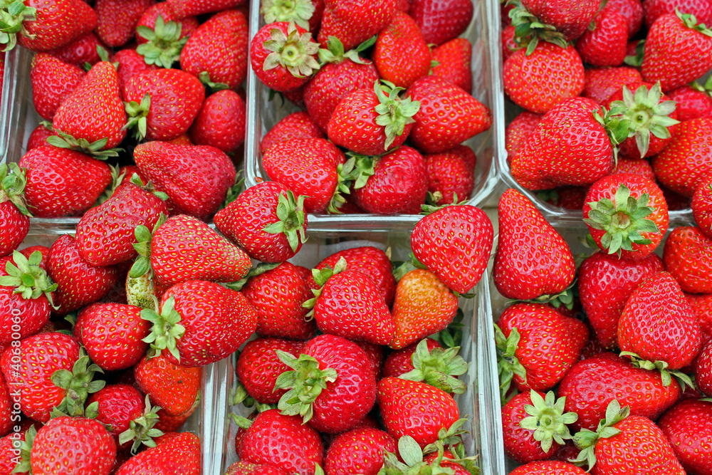 Erdbeeren Erdbeeren