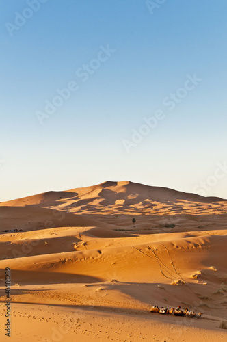 Dunes of Erg Chebbi at Morocco © Anibal Trejo