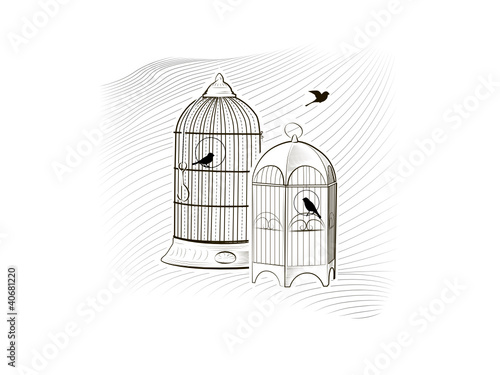 птички в клетке