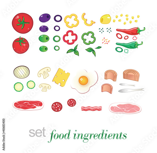 set food ingredients collection vector