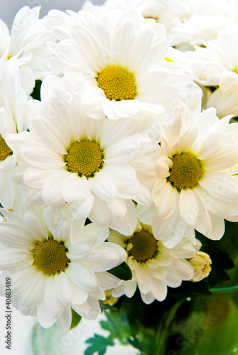 background of flowers