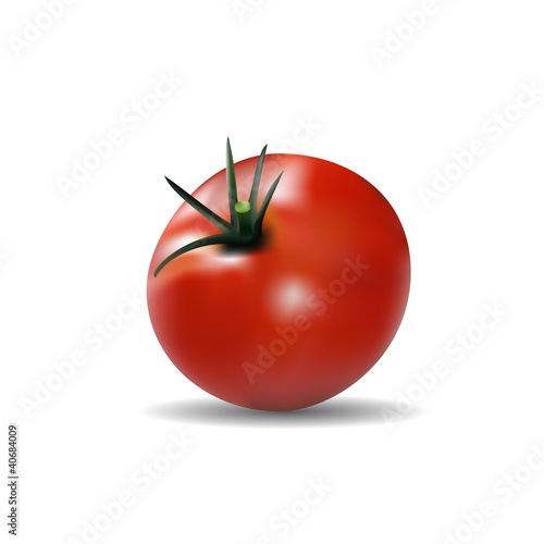 Tomate freigestellt