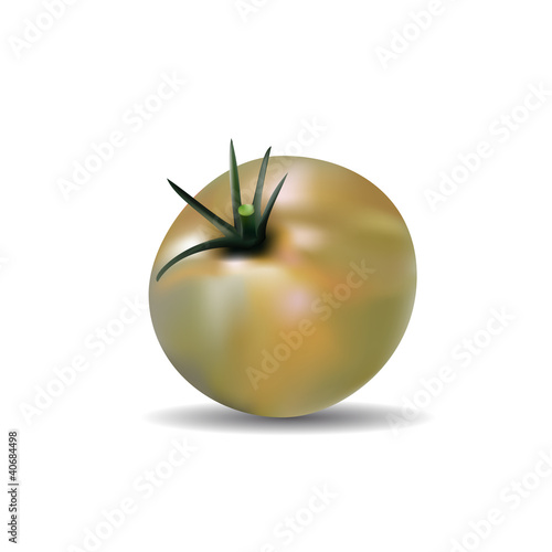 Tomate freigestellt unreif