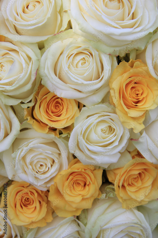 White and yellow roses in brdal flower arrangement White and yellow roses in brdal flower arrangement