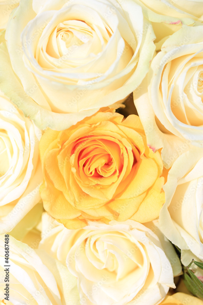 White and yellow roses in brdal flower arrangement