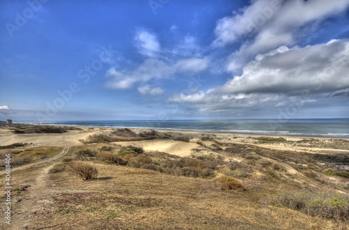 Dunes in Holland
