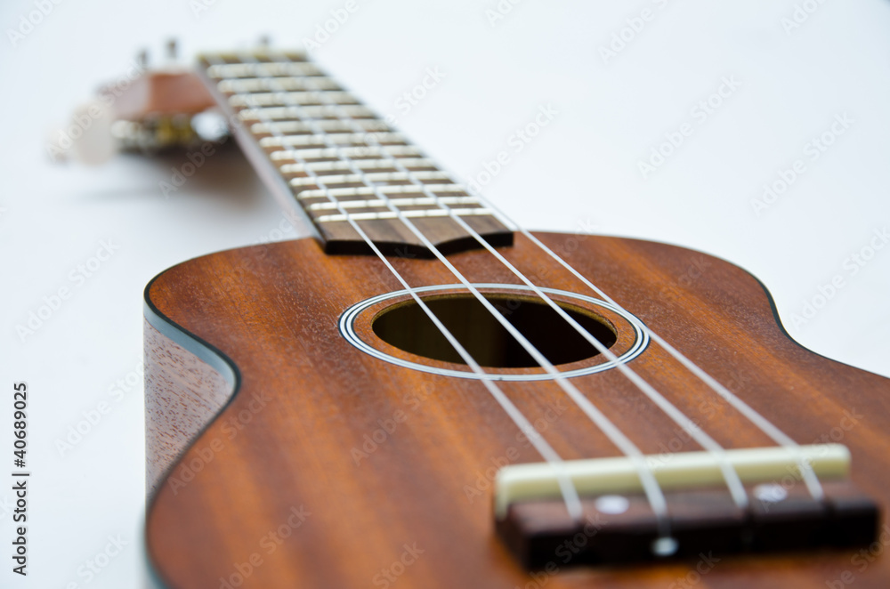 Fototapeta premium ukulele Hawaii guitar style