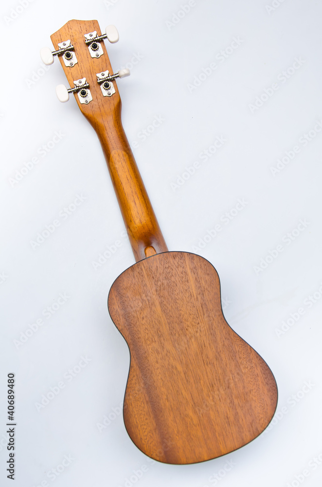 Naklejka premium ukulele Hawaii guitar style