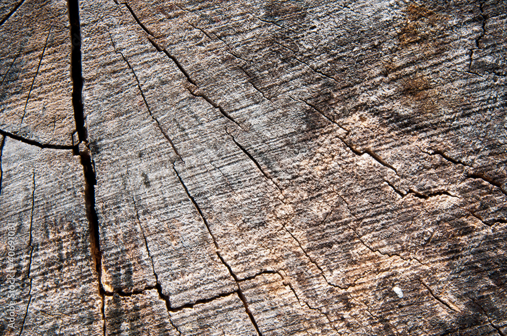 Dry bark pattern Dry bark pattern