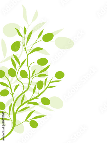 floral olive olivenzweig ornament muster olivenöl blatt baum