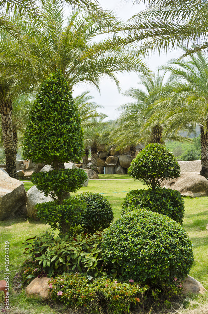 Dwarf shrubs. Dwarf shrubs.