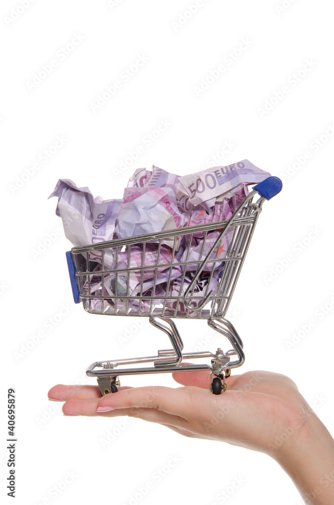 Fototapeta premium crumpled euroin shopping trolley on the palm
