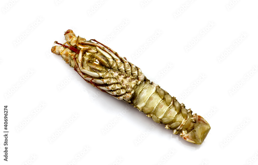 Naklejka premium Champagne Lobster