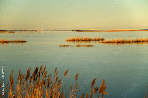 Reed beds and Oland bridge © olandsfokus