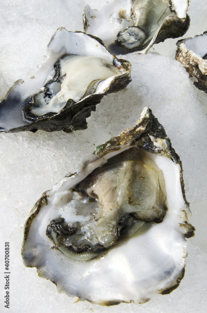 Seafood - Oysters Seafood - Oysters