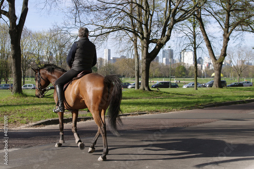 Promenade à cheval à Paris photo