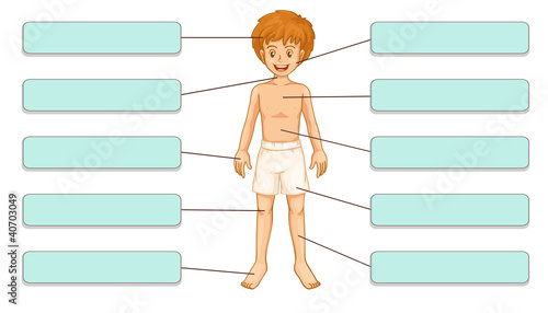 Parts of the body