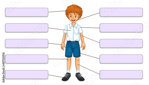 Parts of the body