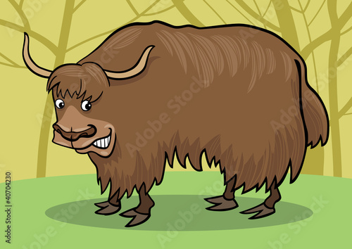 Yak bull