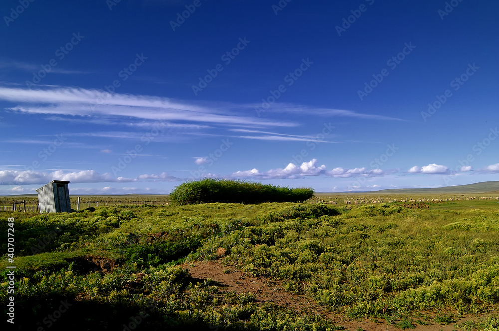 Ruta 40 landscape
