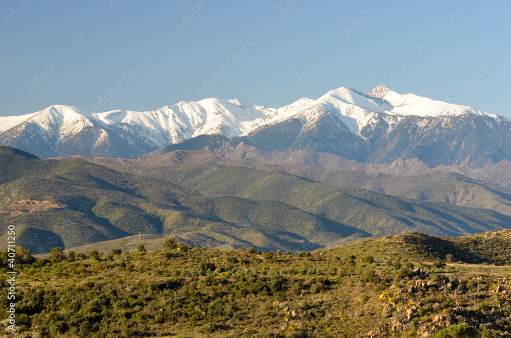 Fototapeta premium Le Canigou dans les Pyrénées Orientales