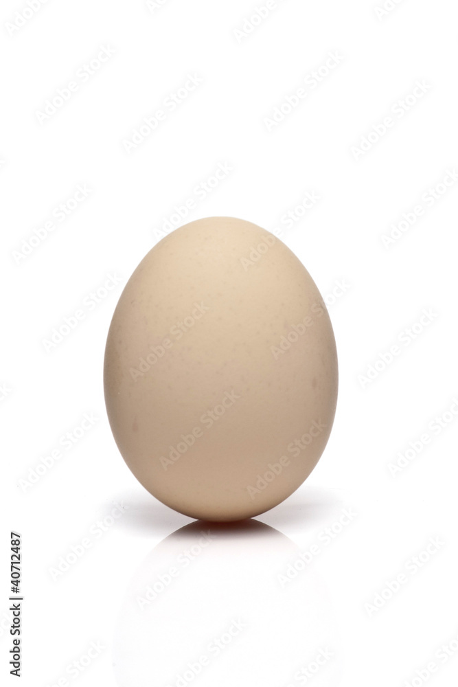 Egg Egg