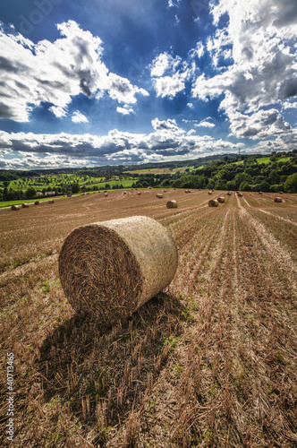 Sommerfeld photo