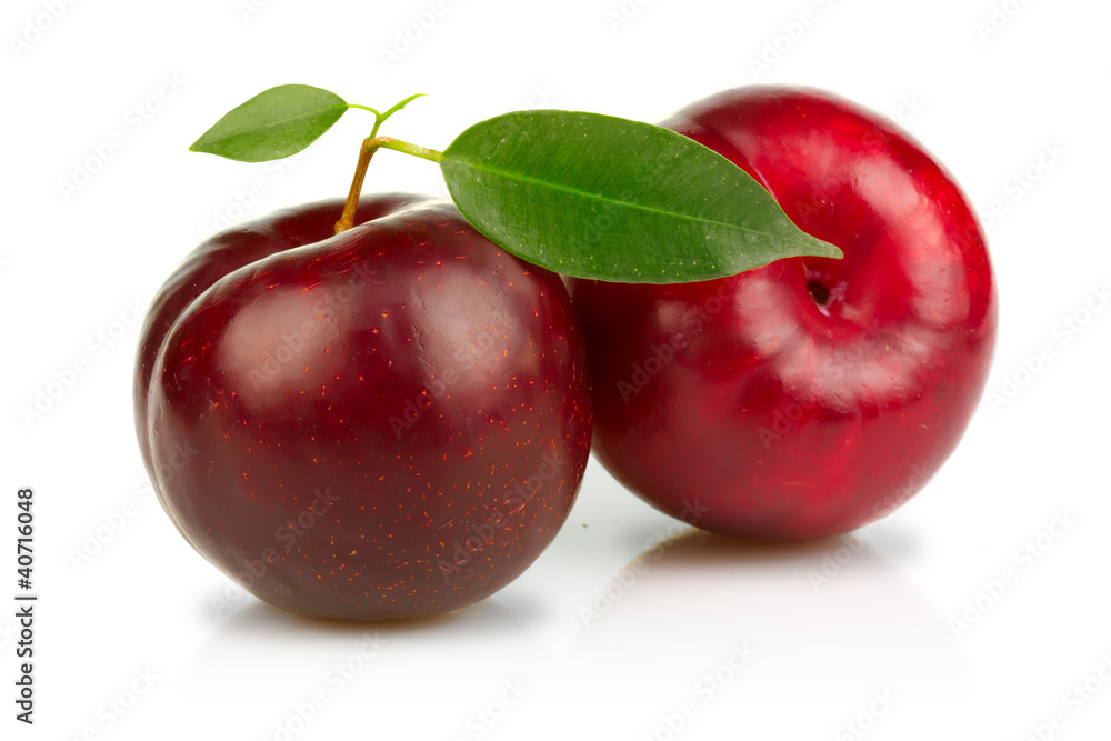 Ripe plums fruits with green leaves isolated on white Ripe plums fruits with green leaves isolated on white