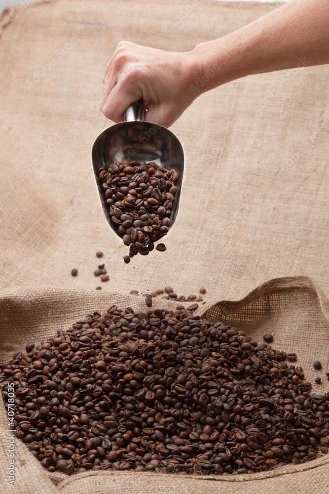 Fototapeta premium Scelta del Caffè