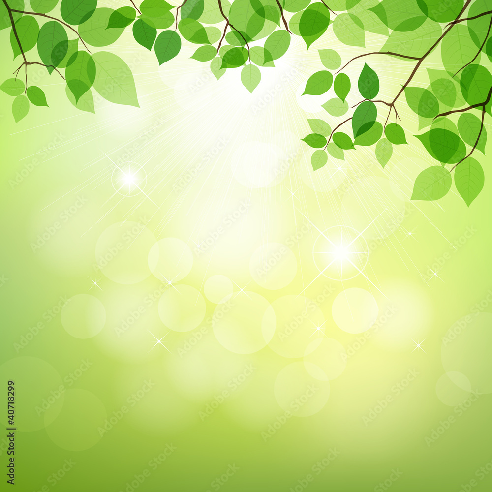 Green leaves background natural, vector Green leaves background natural, vector