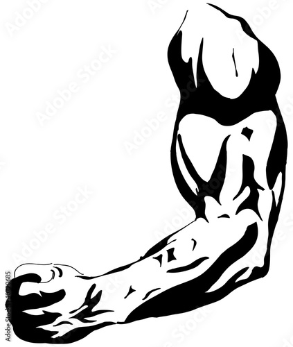 Female biceps